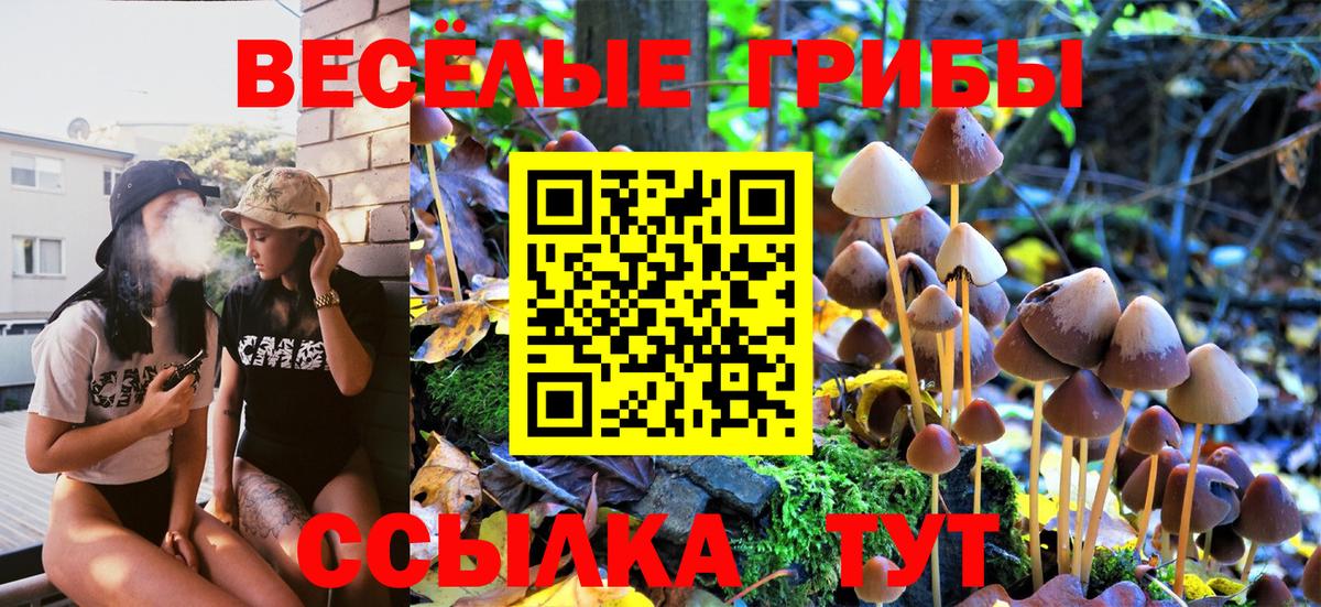 Галлюциногенные грибы прущие грибы Кулебаки