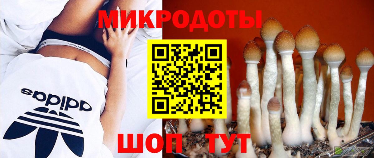 Псилоцибиновые грибы Magic Shrooms  Вход с VPN  Псилоцибиновые грибы Cubensis  купить  сайты  Кулебаки 